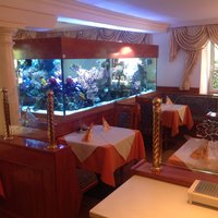 Aquarium im WOK